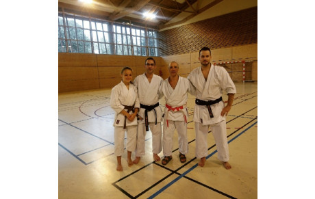 Stages des 26 et 27  et 28 octobre 2018 